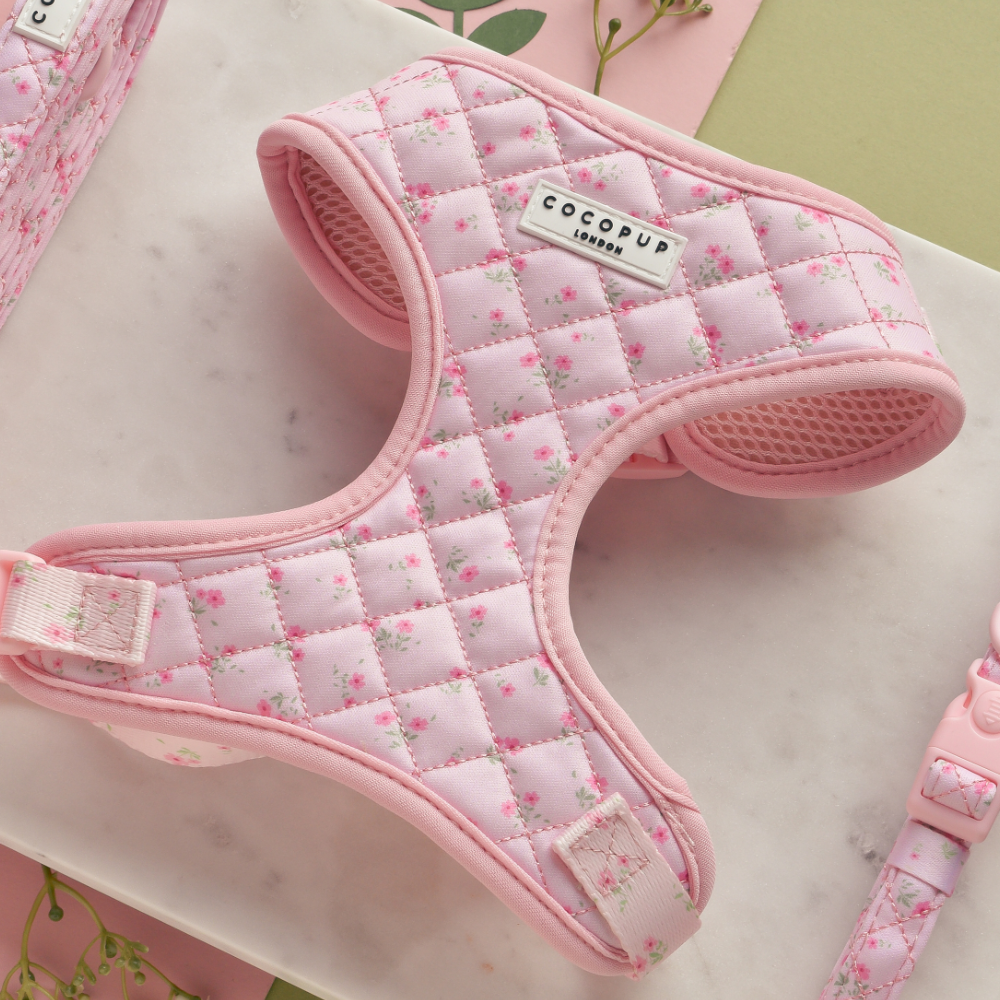 Quilted Ditsy Floral Pink Adjustable Neck Harness: Verstellbares Halsgeschirr mit süßem Blumenmuster in Rosa für stilvolle Hundespaziergänge.