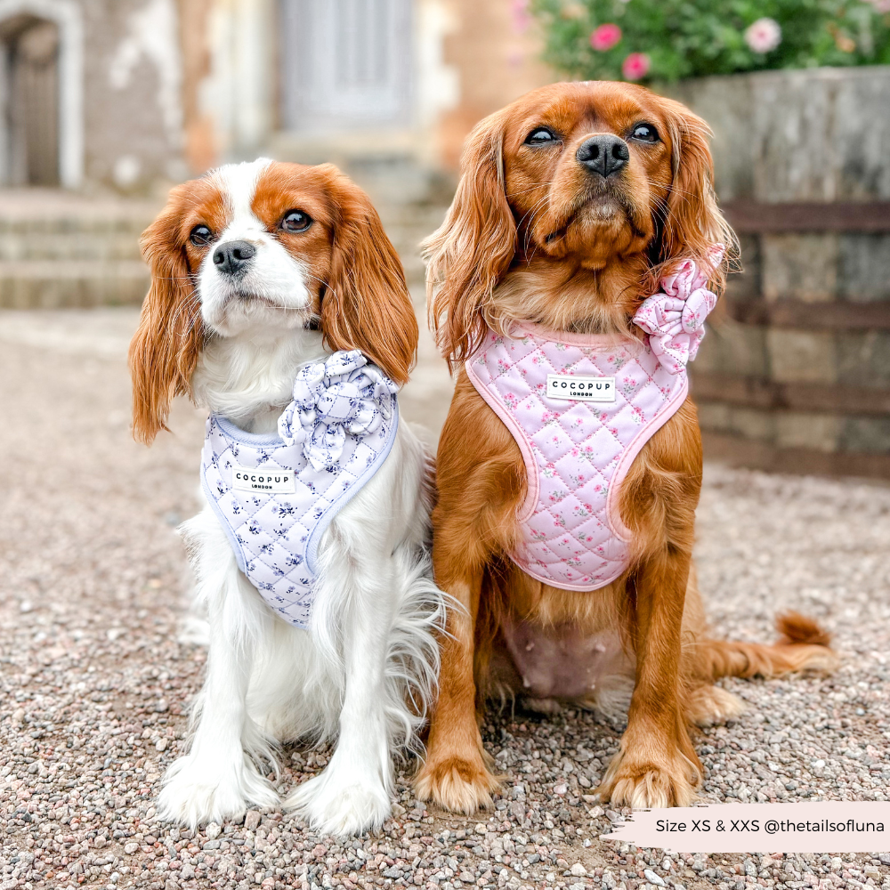 Süßes Hundegeschirr mit Blumen: Rosa, verstellbares Halsgeschirr für Hunde, das ideal für Spaziergänge im Frühling ist