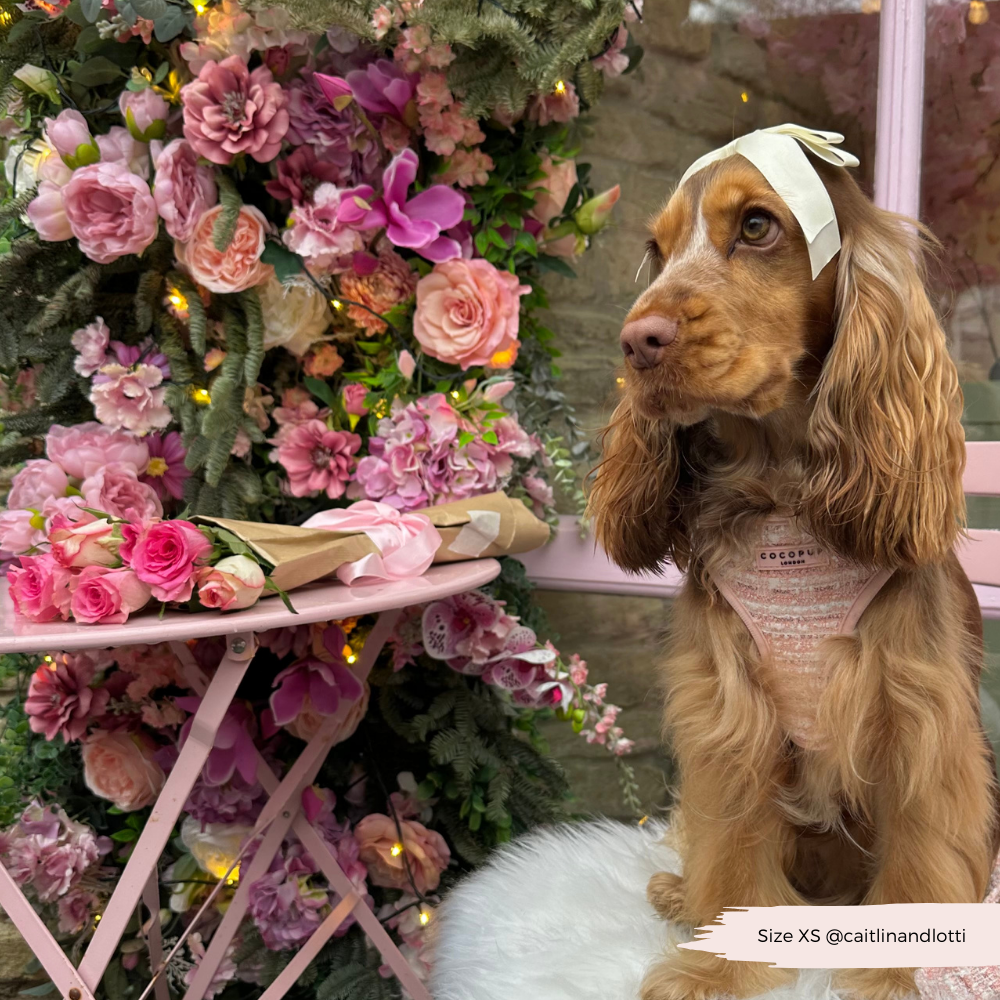 Verstellbares Tweed Hundegeschirr in Pink – ideal für Spaziergänge und besondere Ereignisse.