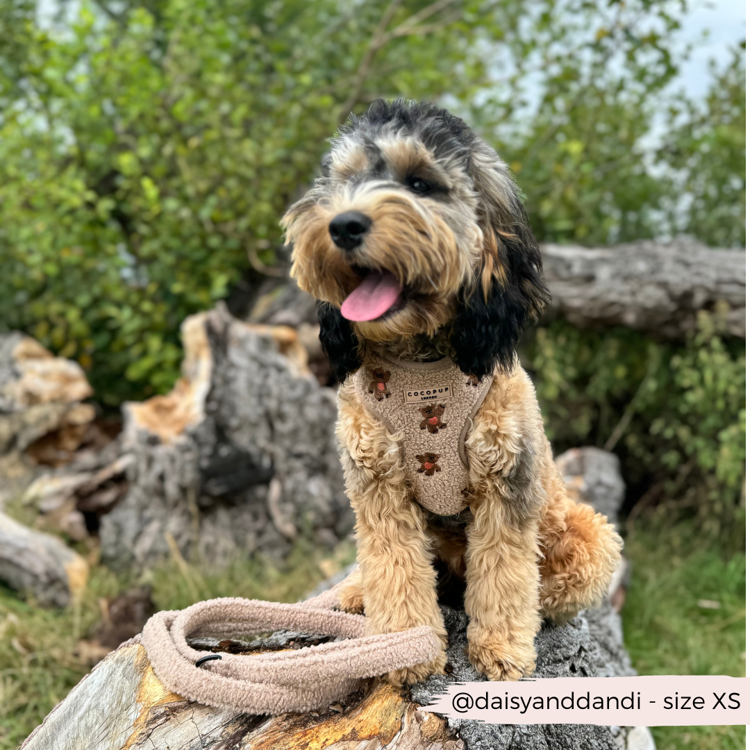 COCOPUP London - Hundegeschirr - Theo Teddy
