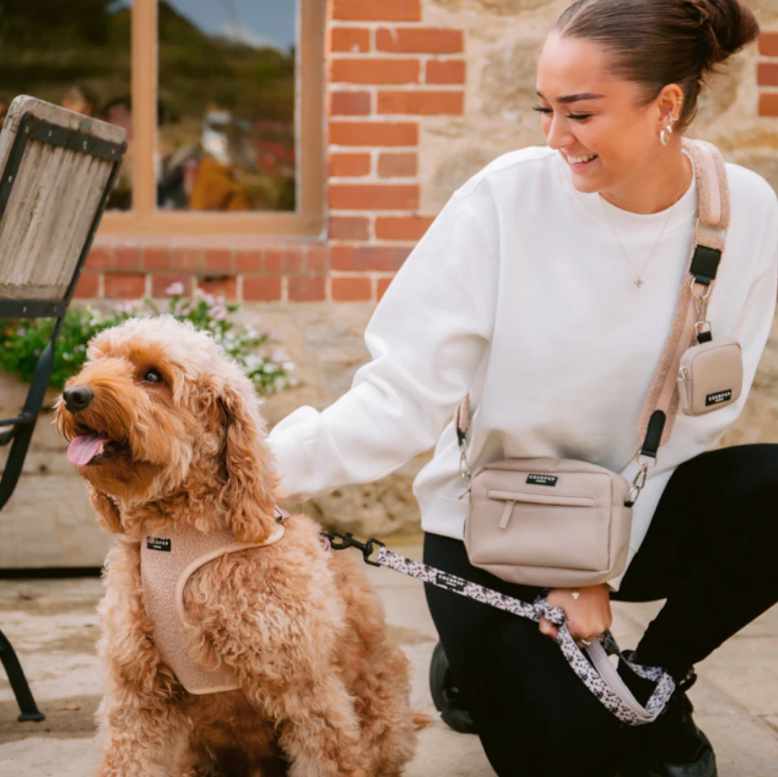 Niedliches Teddy Rupert Hundegeschirr für den modischen Spaziergang – das perfekte Accessoire für deinen Hund.