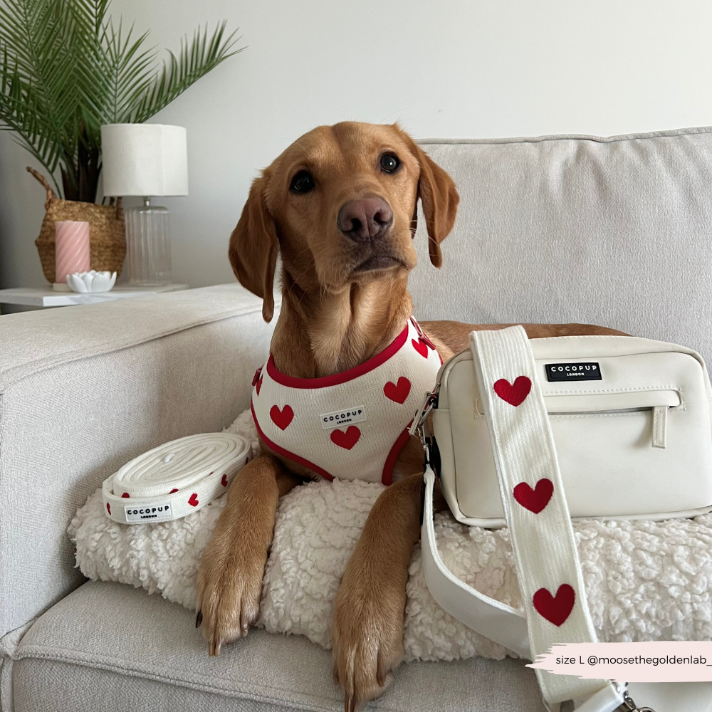 Gemütlicher und eleganter Bag Strap – Hugs & Knitted, für ein besonderes Highlight beim Spaziergang