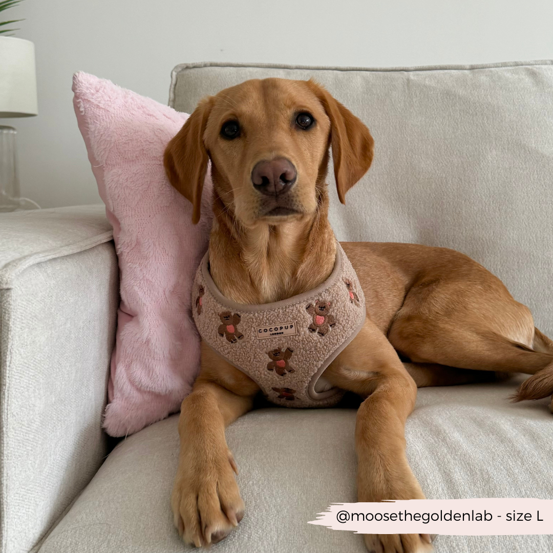 Süß, stilvoll und funktional: Das "Theo Teddy" Hundegeschirr sorgt für einen sicheren und bequemen Spaziergang für deinen Hund.