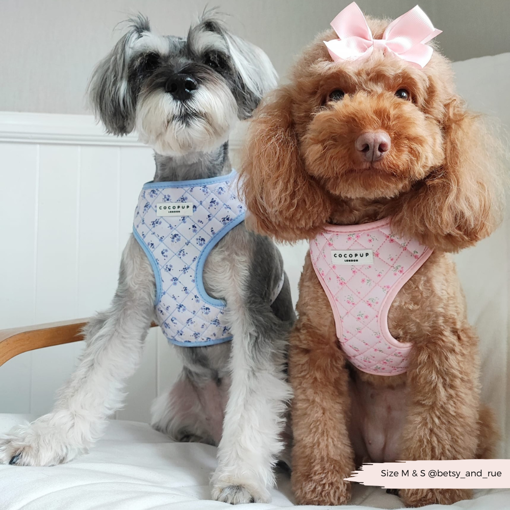 Süßes Hundegeschirr für Frühling und Sommer: Verstellbares Halsgeschirr im rosa Blumenmuster – bequem und sicher.