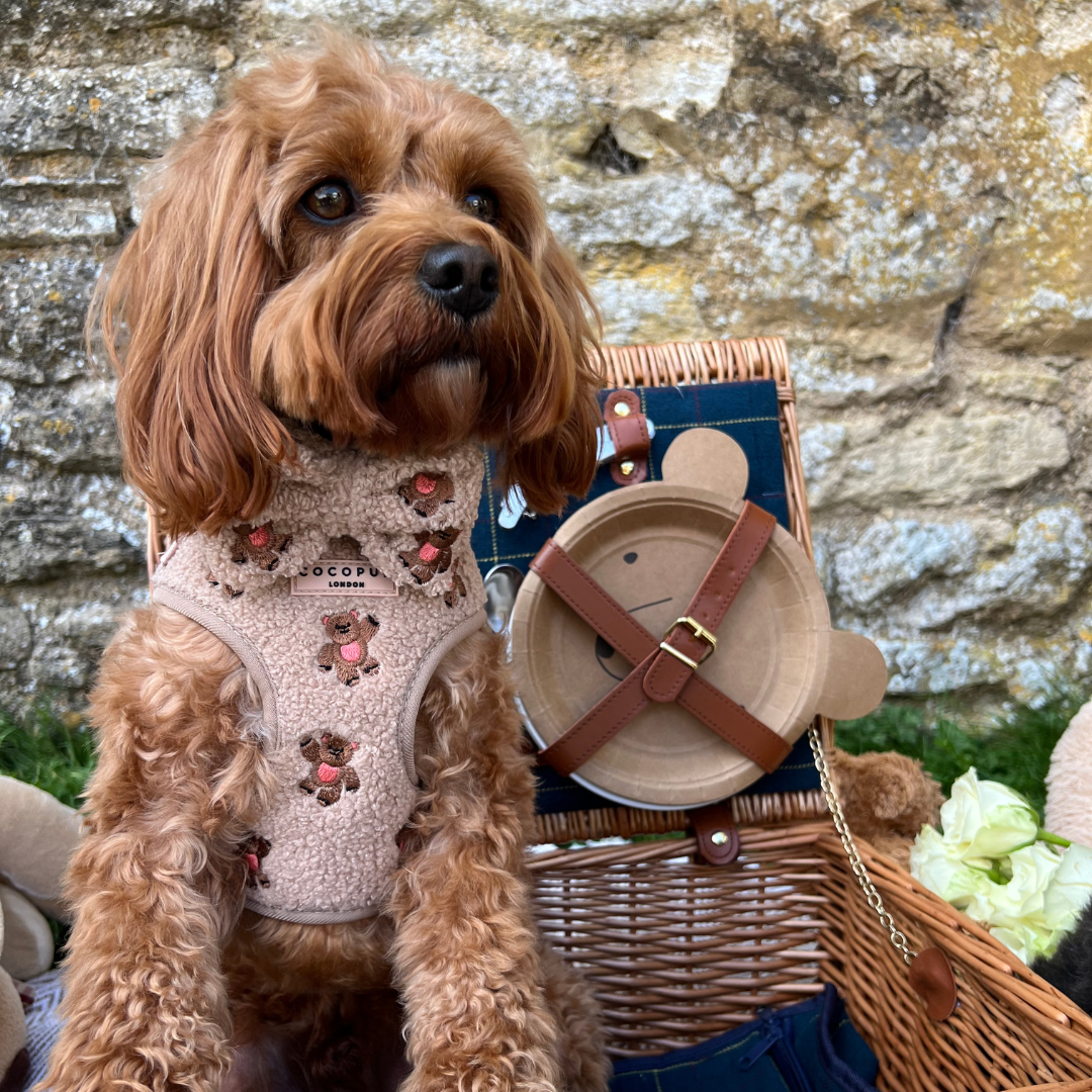 COCOPUP London - Hundegeschirr - Theo Teddy