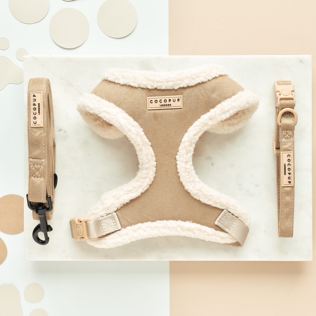 COCOPUP London - Hundegeschirr - Nude Aviator