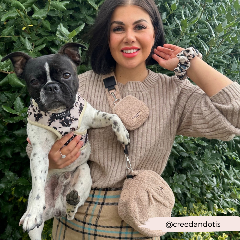 COCOPUP London - Dog Walking Bag - Teddy Rupert