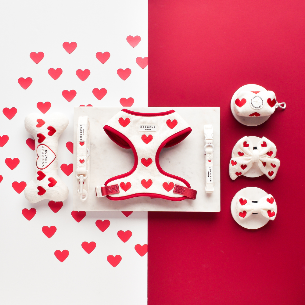 Elegantes Hundehalsband "Jumper Heart" aus hochwertigem Material, verziert mit einem süßen Herz.