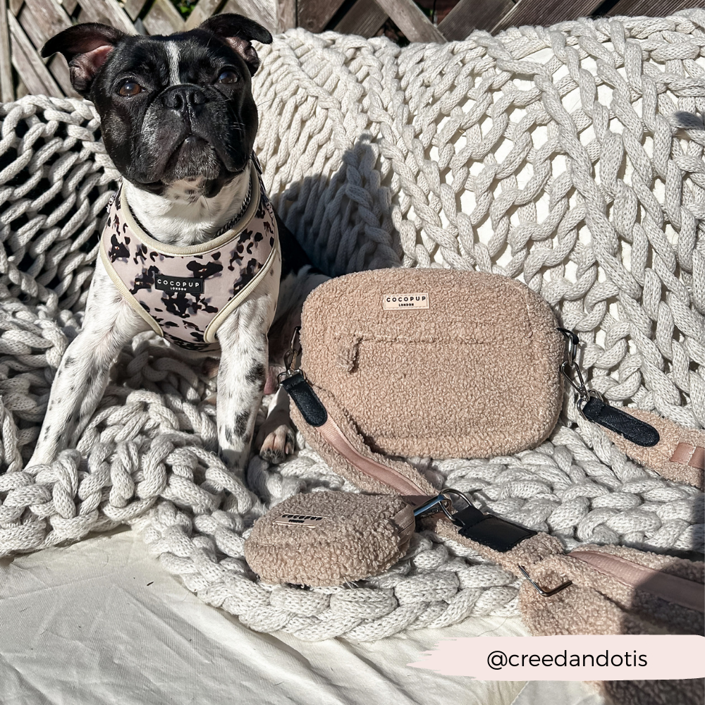 COCOPUP London - Dog Walking Bag - Teddy Rupert