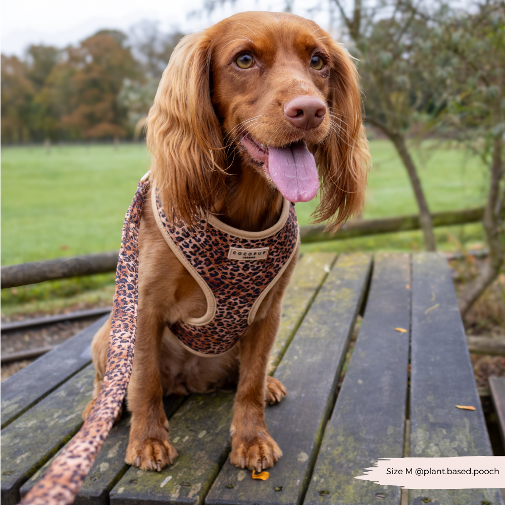 Quilted Leopard Hundeleine – Trendige Leine mit Leopardenmuster und bequem gepolstertem Griff für deinen Hund.