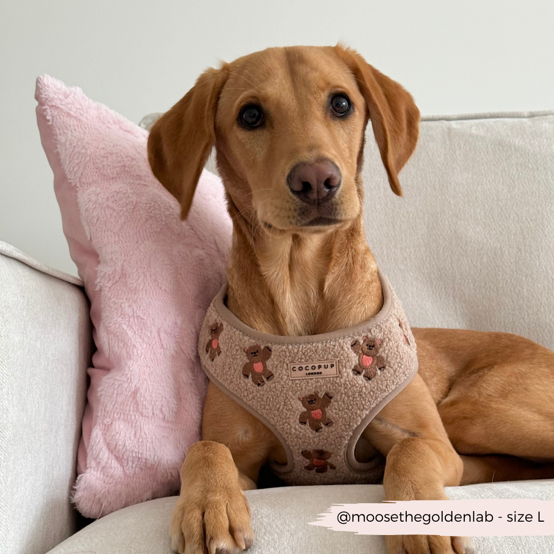 COCOPUP London - Hundegeschirr - Theo Teddy
