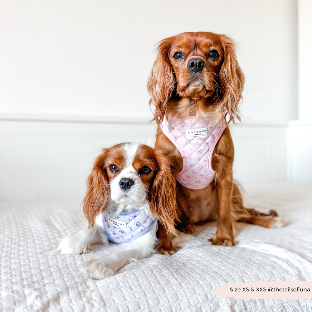 Verstellbares "Quilted Ditsy Floral Pink" Geschirr: Rosa Hundegeschirr mit Blumenprint für eine stilvolle Spaziergangsroutine.