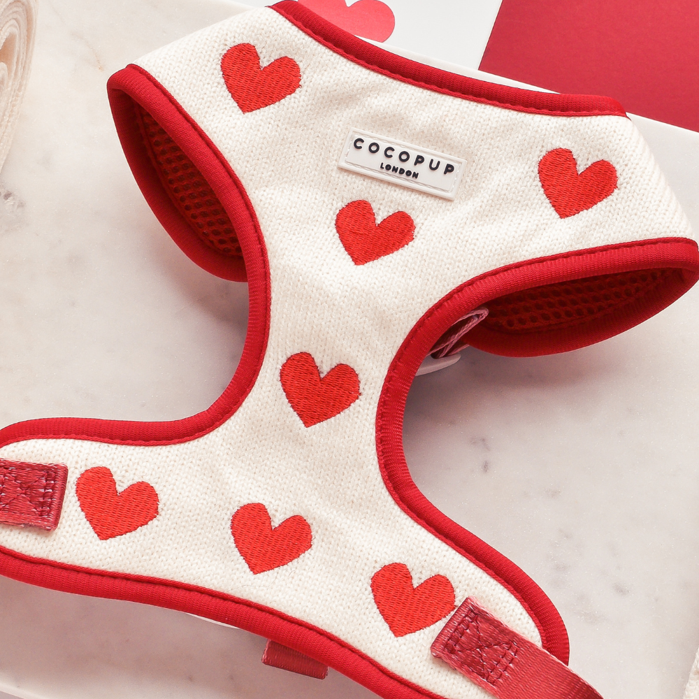 Embroidered Heart Hundegeschirr – perfekt für süße Spaziergänge und Komplimente.