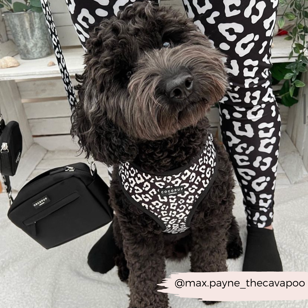 Mit dem Black Leopard Adjustable Neck Harness setzt du ein modisches Statement bei jedem Spaziergang.