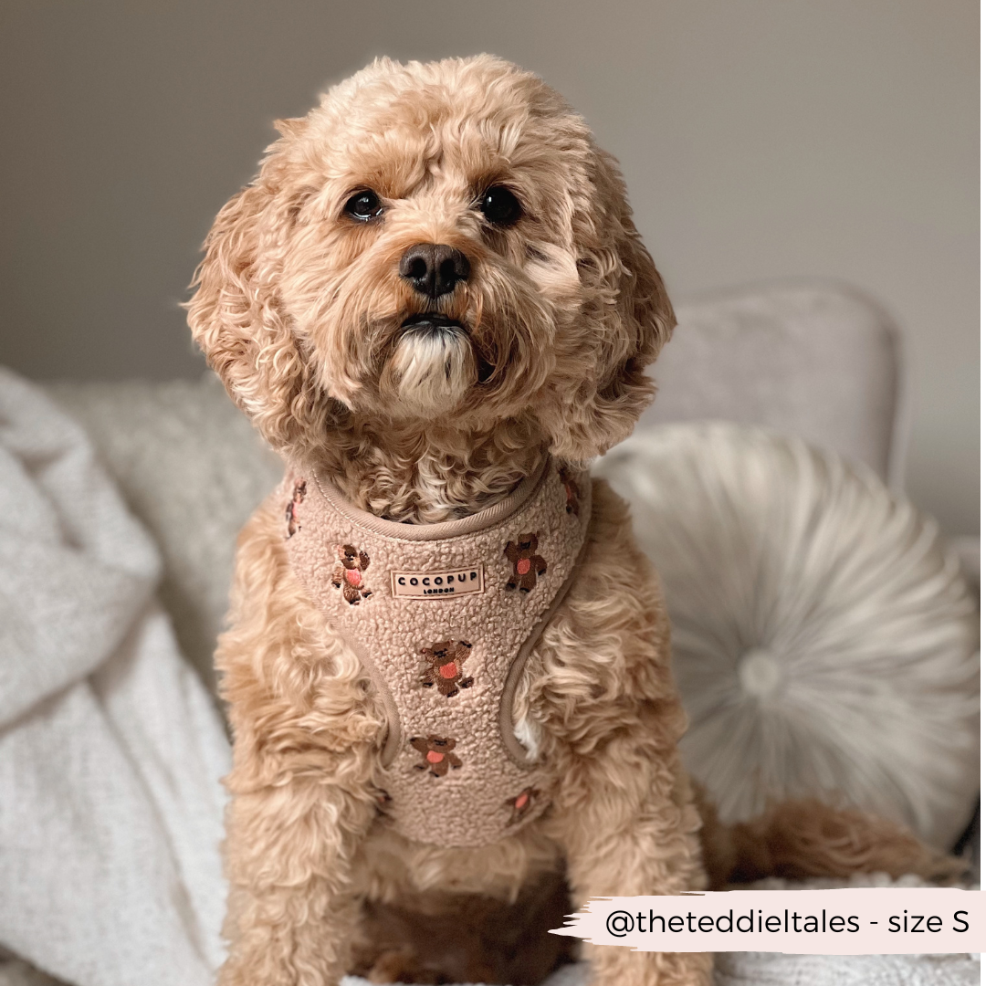 Niedliches Hundegeschirr für deinen Vierbeiner – "Theo Teddy" von COCOPUP London, das perfekte Accessoire für tägliche Spaziergänge.