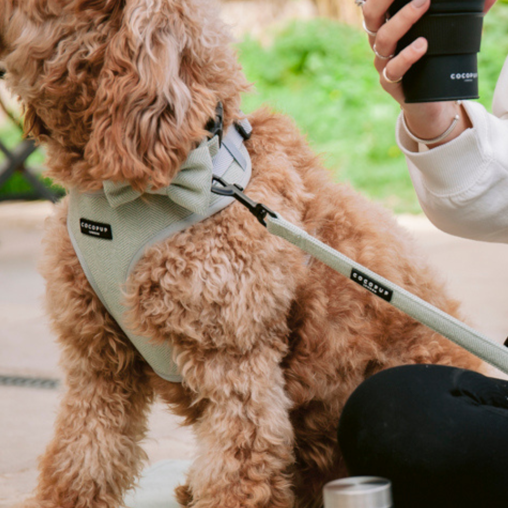 Bringe deinen Hund stilvoll auf Spaziergänge mit unserem Sage Tweed Adjustable Neck Harness. Das elegante Herringbone-Muster und die sanfte Polsterung bieten deinem Hund sowohl Komfort als auch einen Hauch von Landhausstil.
