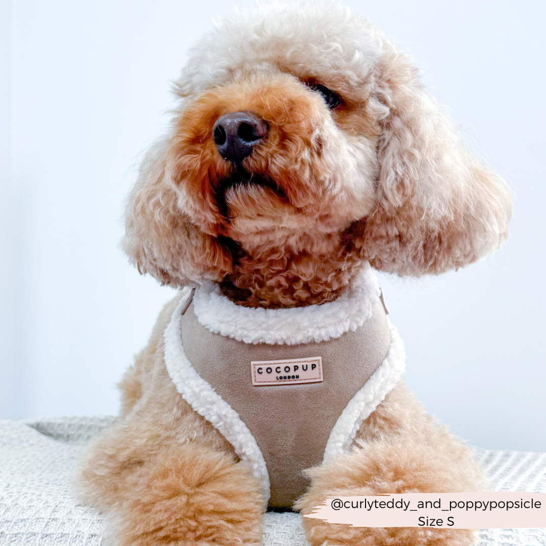 COCOPUP London - Hundegeschirr - Nude Aviator