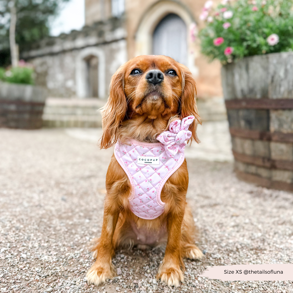 Verstellbares Hundegeschirr im Blumenstil: Das "Quilted Ditsy Floral Pink" Halsgeschirr bietet Komfort bei Spaziergängen.