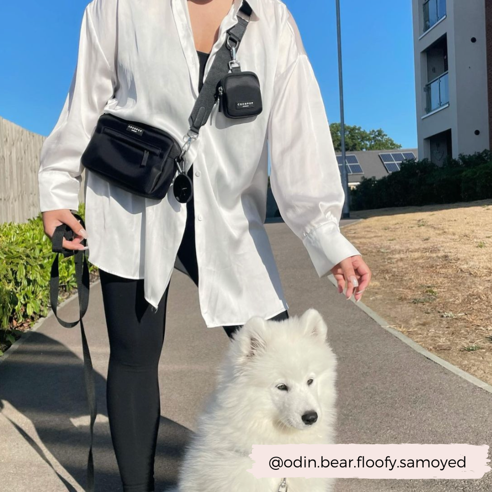 COCOPUP London Taschengurt in schlichtem Schwarz – ein minimalistisches Accessoire für deinen Hundespaziergang.
