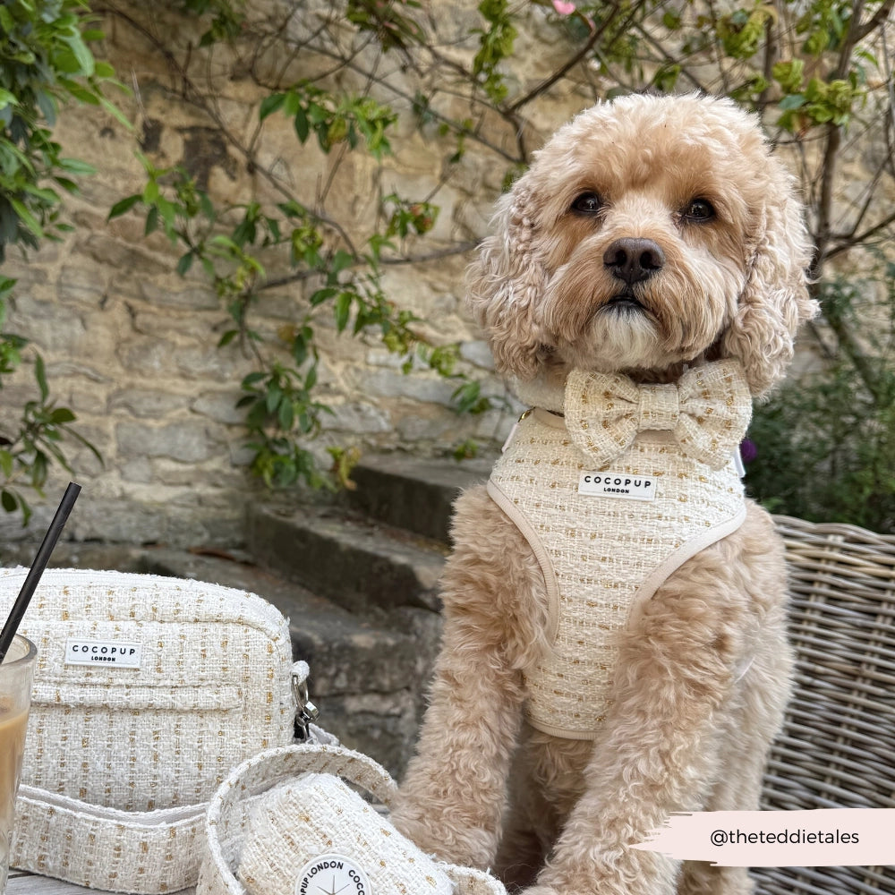 COCOPUP London - Hundegeschirr - Vanilla Tweed