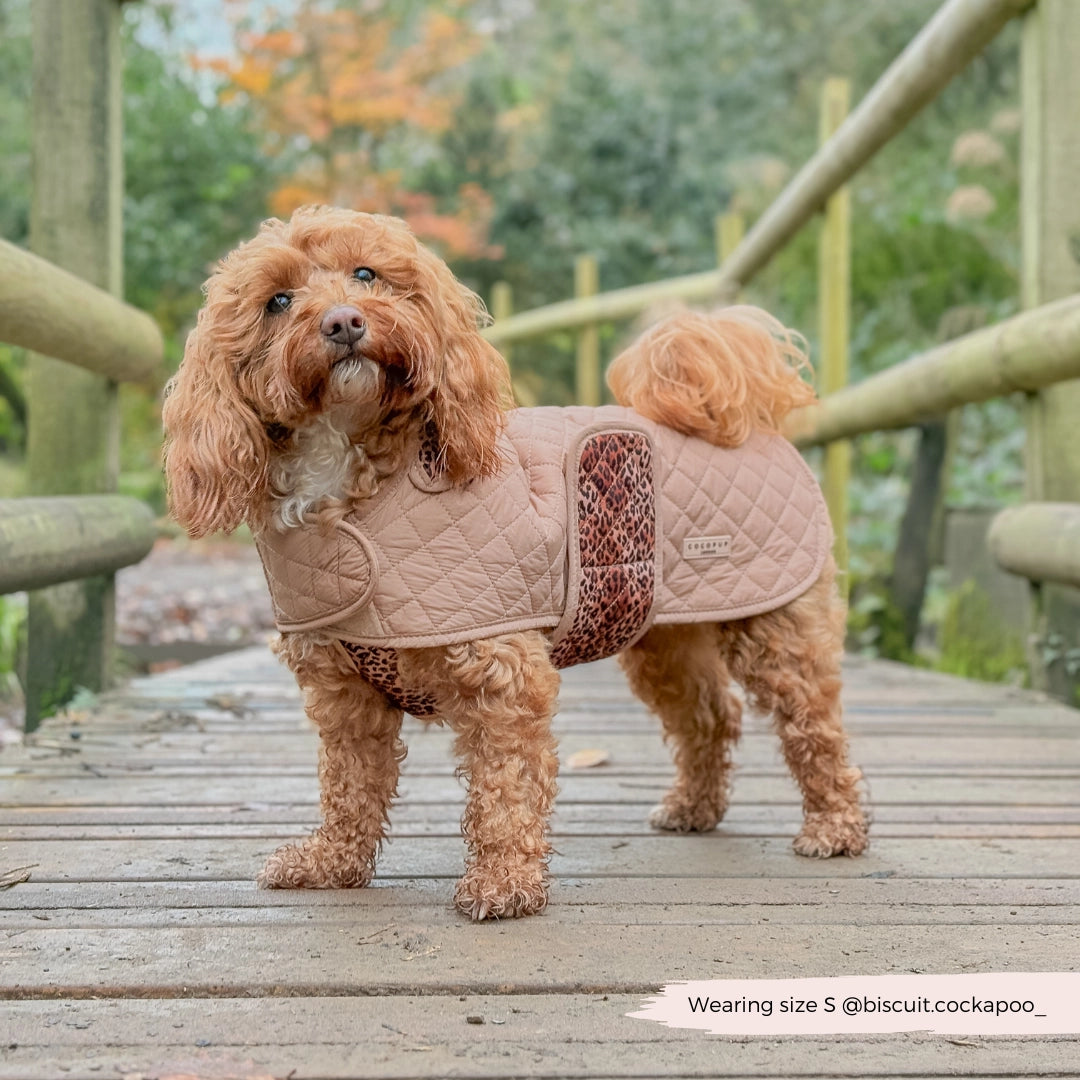 COCOPUP London - Hundemantel - Leopard