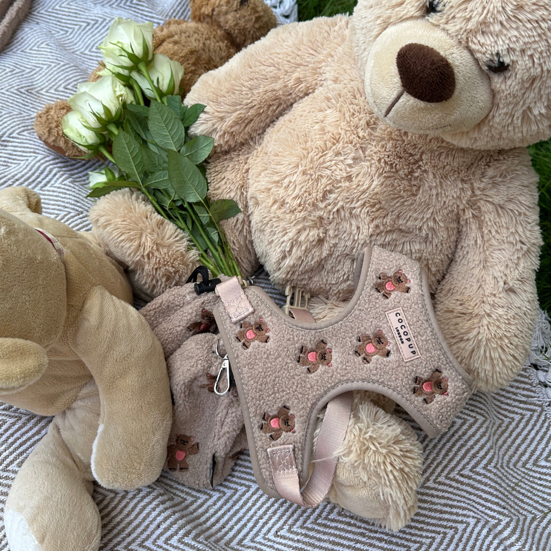 COCOPUP London - Hundegeschirr - Theo Teddy