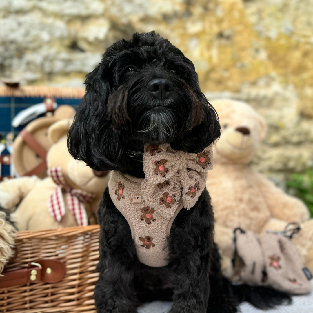 Das perfekte Hundegeschirr für den stylischen Spaziergang: Das "Theo Teddy" Geschirr von COCOPUP London mit Teddybären-Design und verstellbarem Riemen.