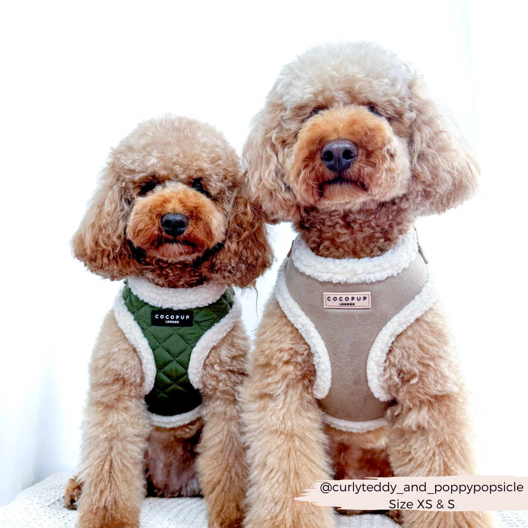 COCOPUP London - Hundegeschirr - Nude Aviator