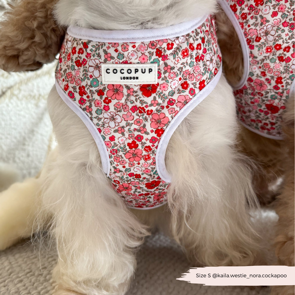Das verstellbare Halsgeschirr mit Blumenmuster bietet deinem Hund sowohl Stil als auch Sicherheit.