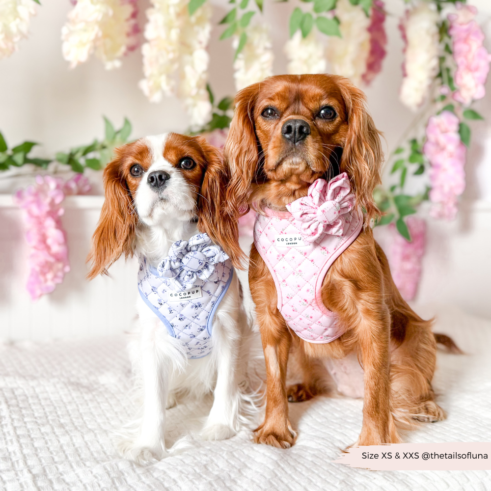 Blumenmuster Hundegeschirr für stylische Spaziergänge: Rosa verstellbares Halsgeschirr für Hundebesitzer, die Stil lieben.