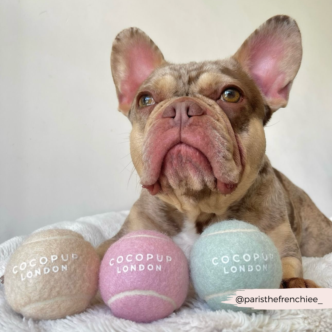 COCOPUP London - Tennisball - Karamell