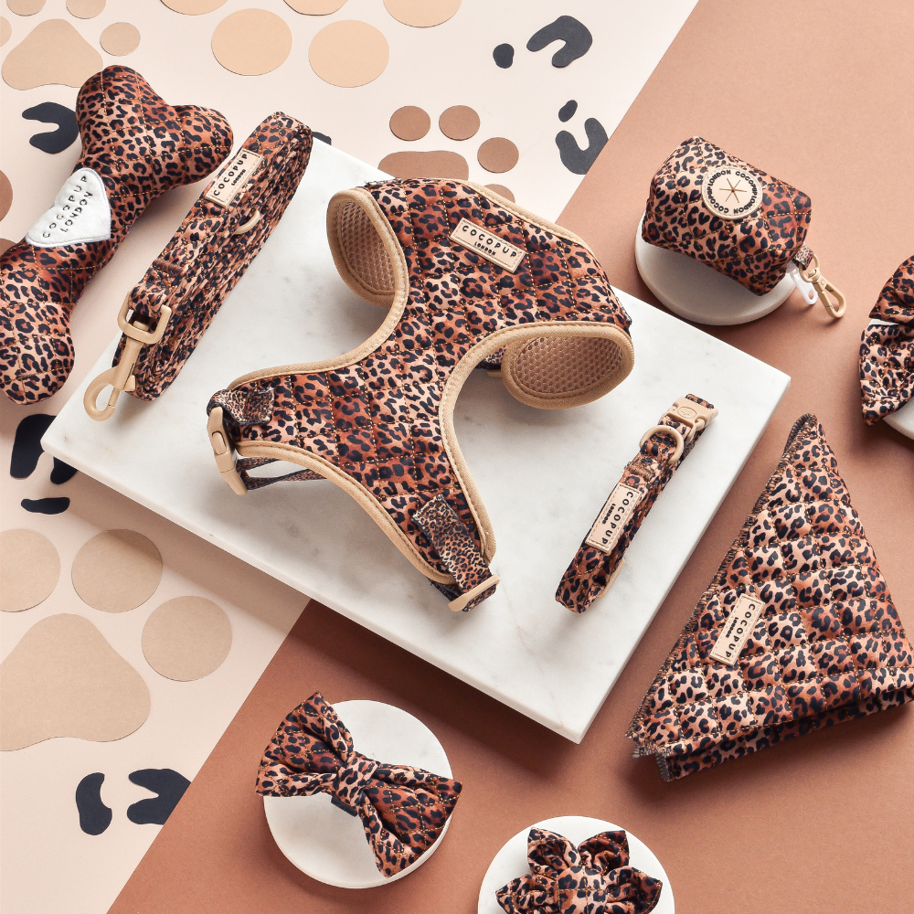 Hundeleine mit Leopardenmuster – Praktische Leine mit zusätzlichem D-Ring für Kotbeutel und stylischem Design.