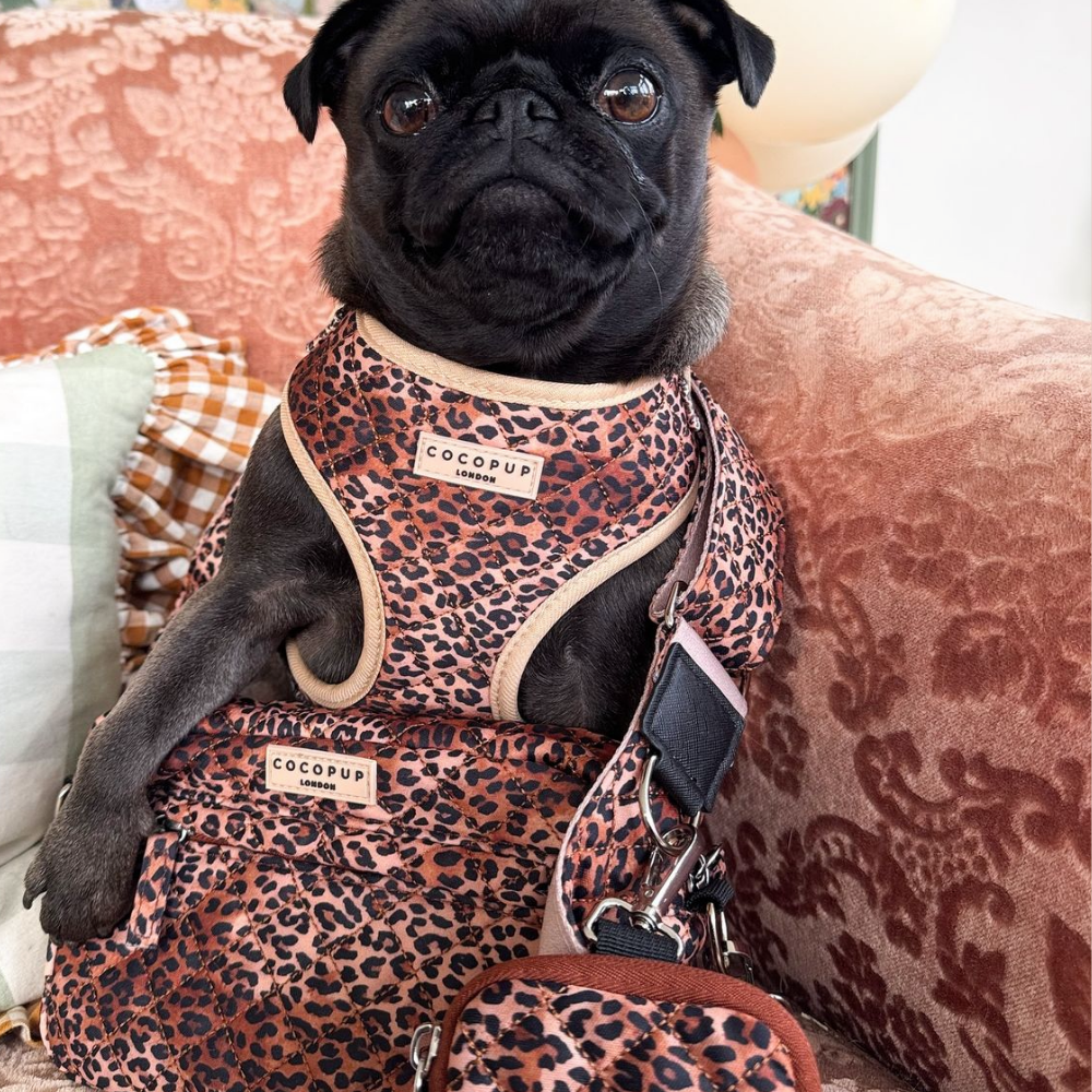 Stylische und praktische Hundebag im Leoparden-Look, die dein Hundespaziergang noch angenehmer macht.