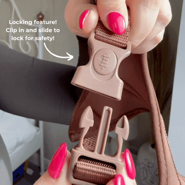 COCOPUP London - Hundegeschirr - Nude Aviator