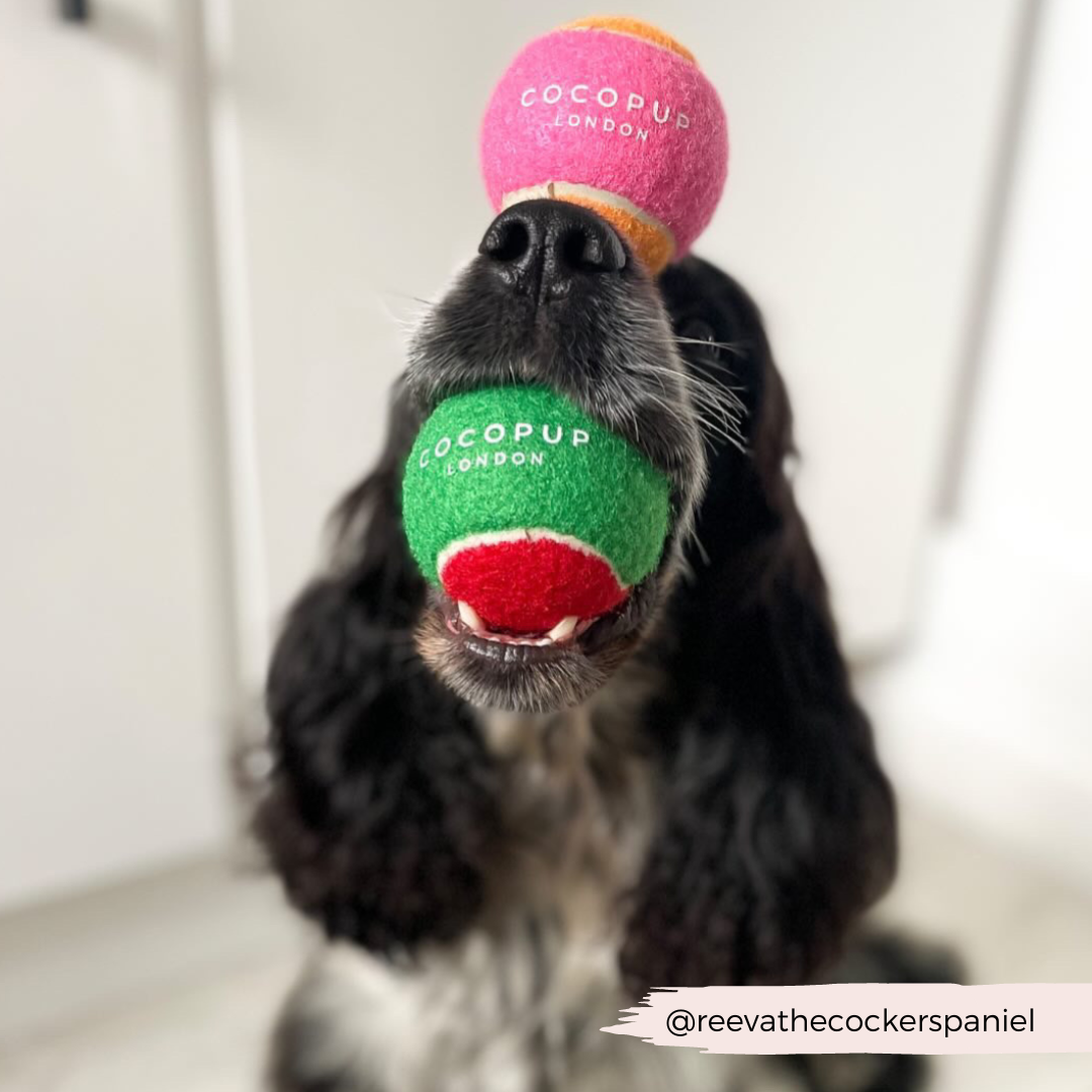 Pink und Orange – der ideale Tennisball für deinen Hund, der lange Haltbarkeit und Springfreude bietet.