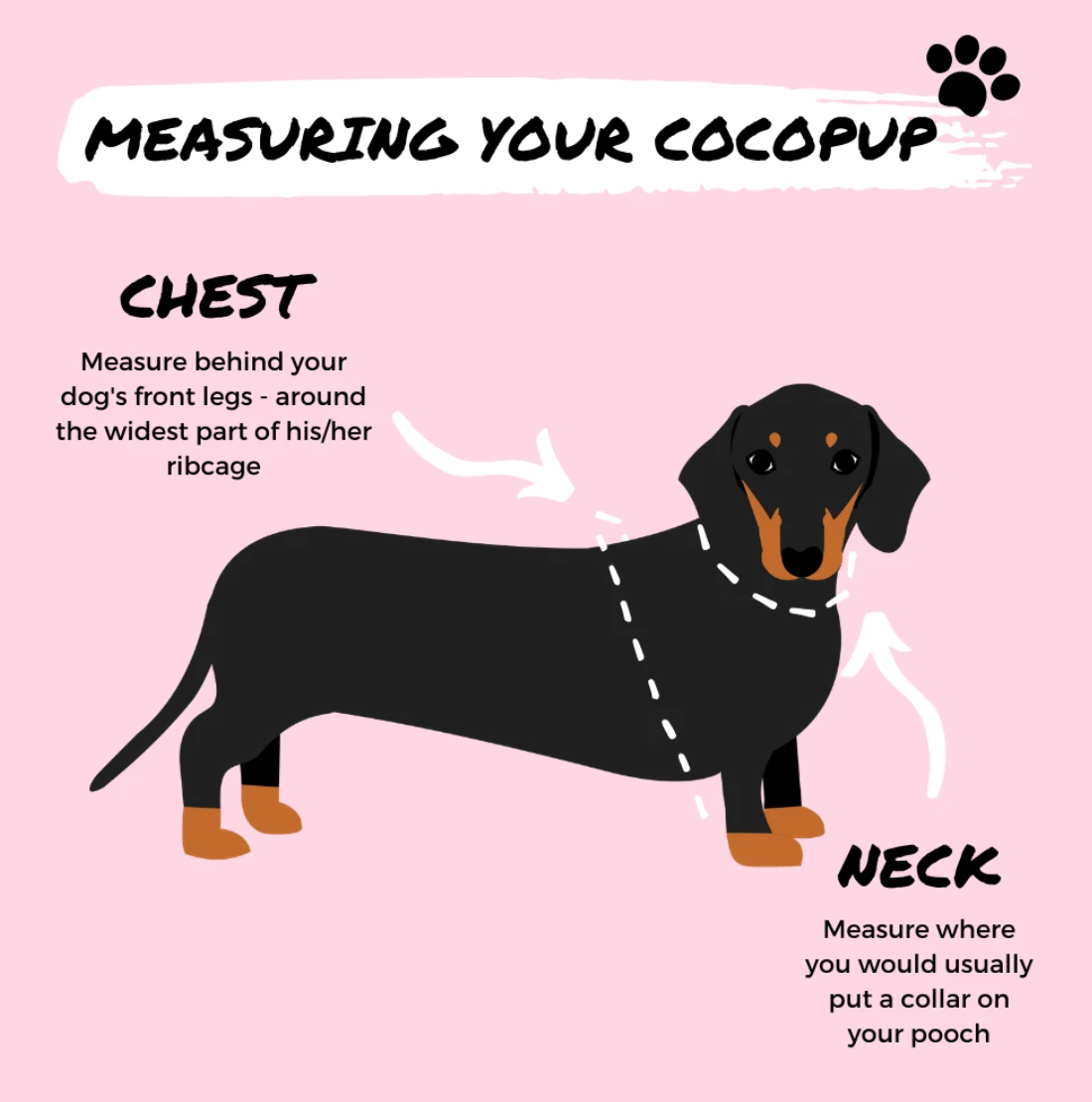 COCOPUP London - Hundegeschirr - Theo Teddy