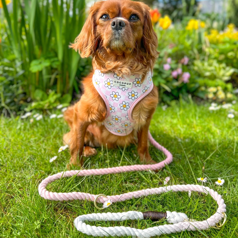 COCOPUP London - Leine - Seil rosa - Elli by Lena & Lisa