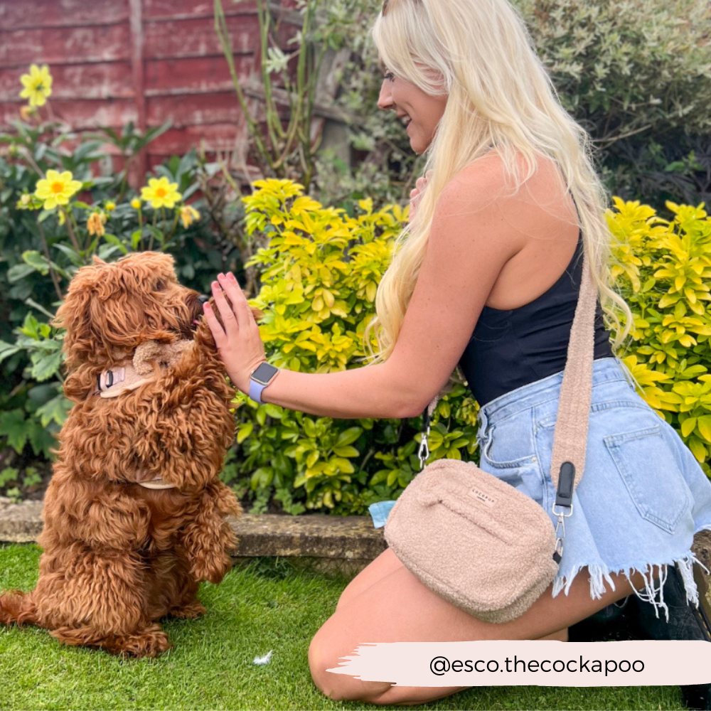 COCOPUP London - Dog Walking Bag - Teddy Rupert