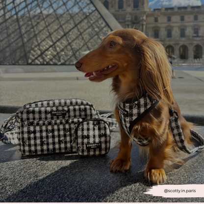 COCOPUP London - Hundegeschirr - Pup in Paris