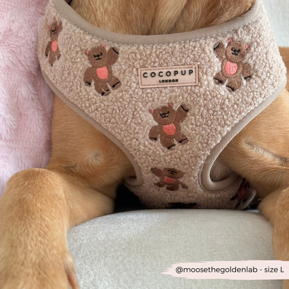 COCOPUP London - Hundegeschirr - Theo Teddy