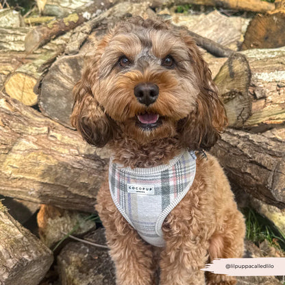 COCOPUP London - Hundegeschirr - Oxford Plaid