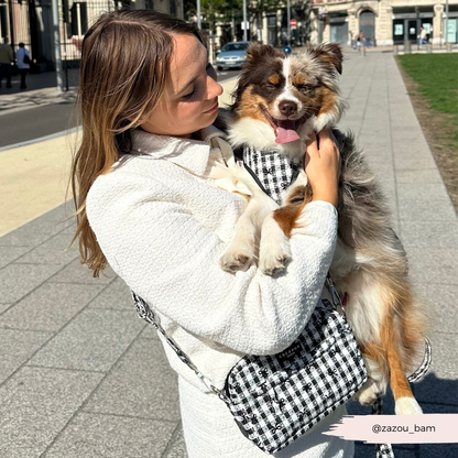 COCOPUP London - Hundegeschirr - Pup in Paris