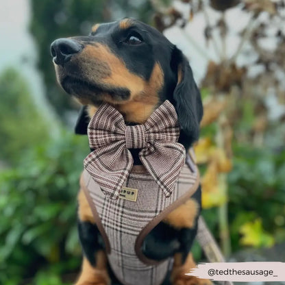 COCOPUP London - Schleife - Pup Plaid