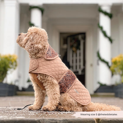 COCOPUP London - Hundemantel - Leopard