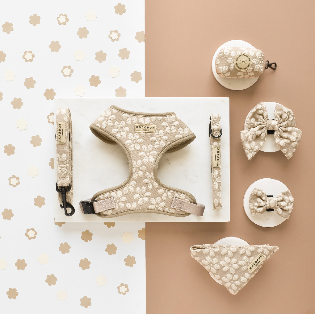 Stylisches Hundebandana mit floralem Design, perfekt für jeden Anlass.