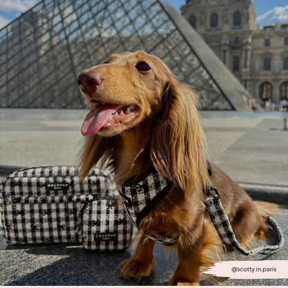 COCOPUP London - Hundegeschirr - Pup in Paris