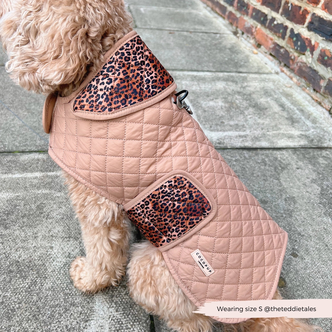 COCOPUP London - Hundemantel - Leopard