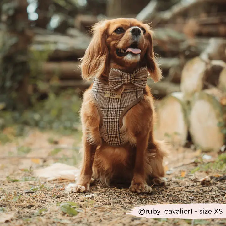 COCOPUP London - Hundegeschirr - Pup Plaid