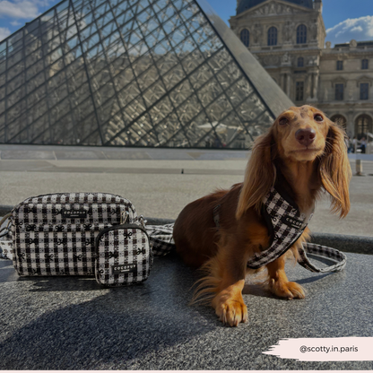 COCOPUP London - Hundegeschirr - Pup in Paris