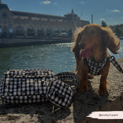COCOPUP London - Hundegeschirr - Pup in Paris